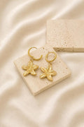 Boucles d'oreilles mini étoiles de mer